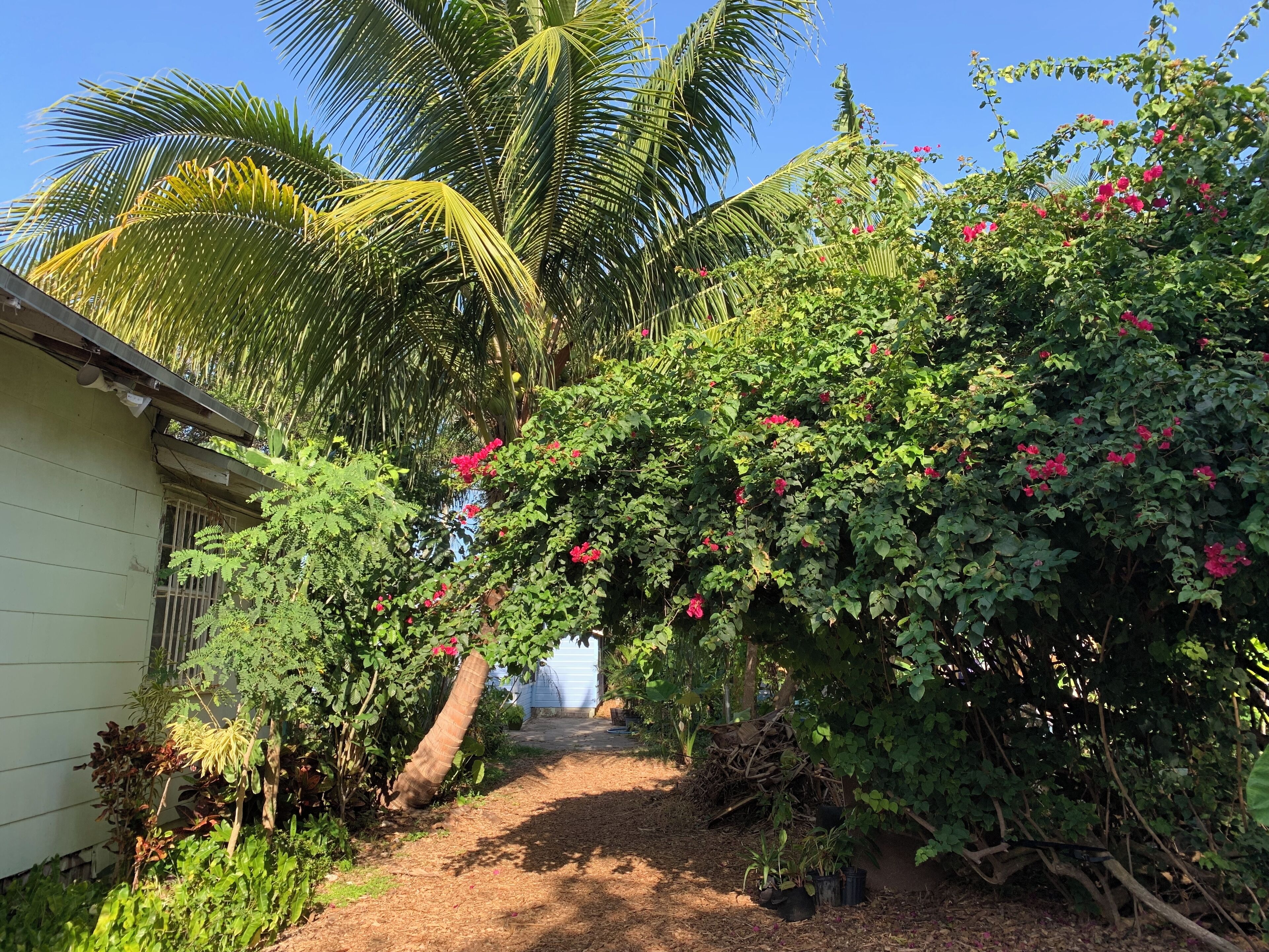 A garden pathway leading to a house with a covered porch, surrounded by lush greenery and flowering plants.