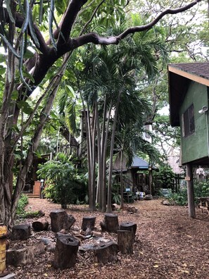 Enceinte de l’hébergement