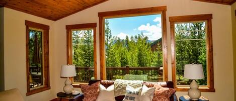 Smart TV, fireplace, DVD player, books