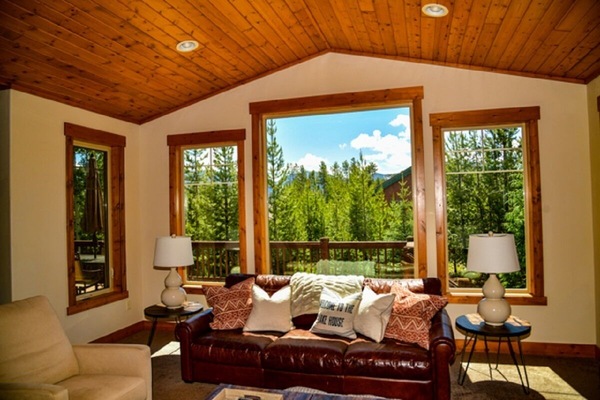 Smart TV, fireplace, DVD player, books