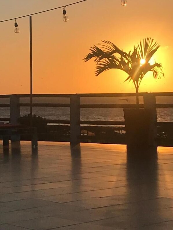 Terraza en la azotea