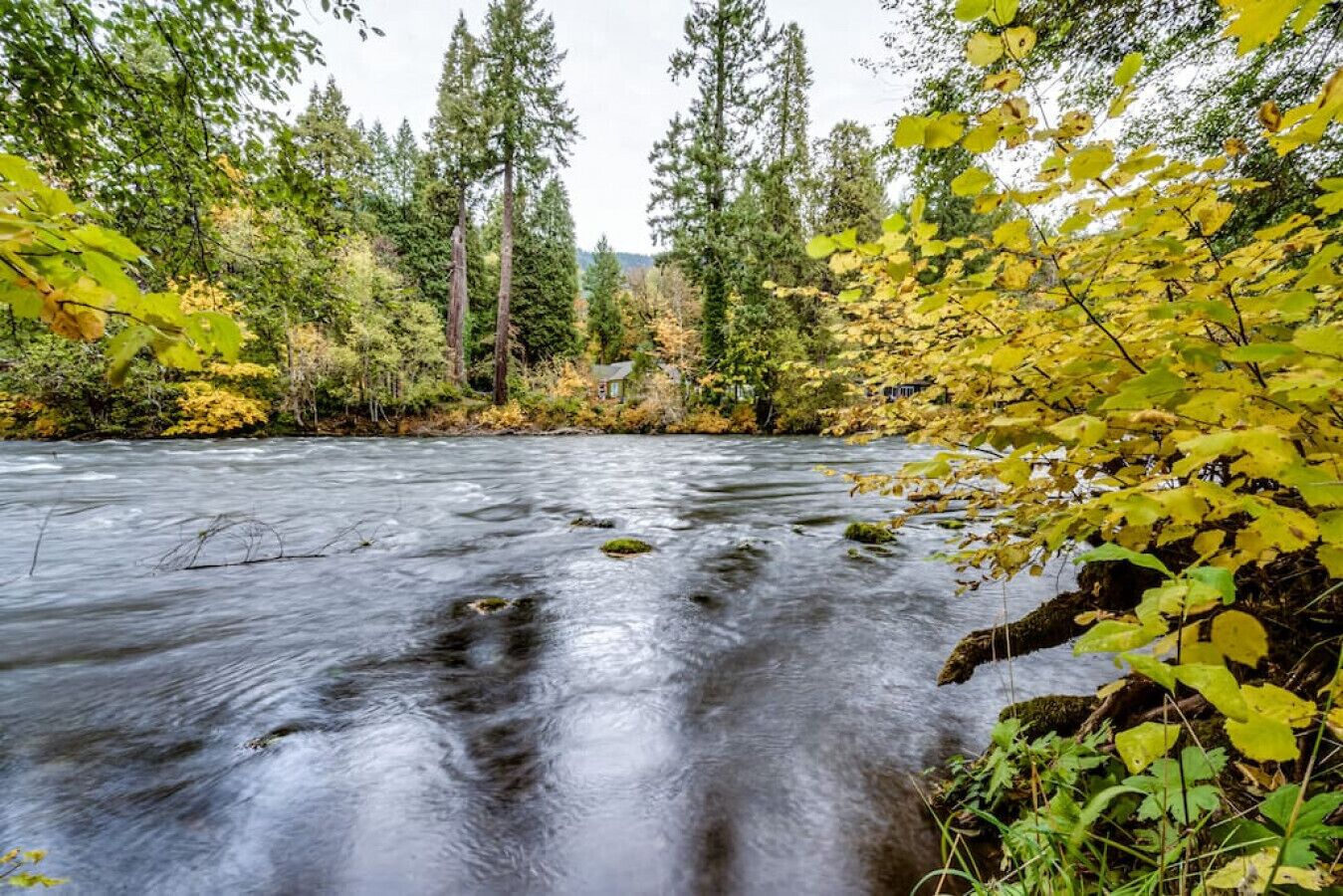 Cabin 4 · Mckenzie Dream RIVERFRONT Log Cabin