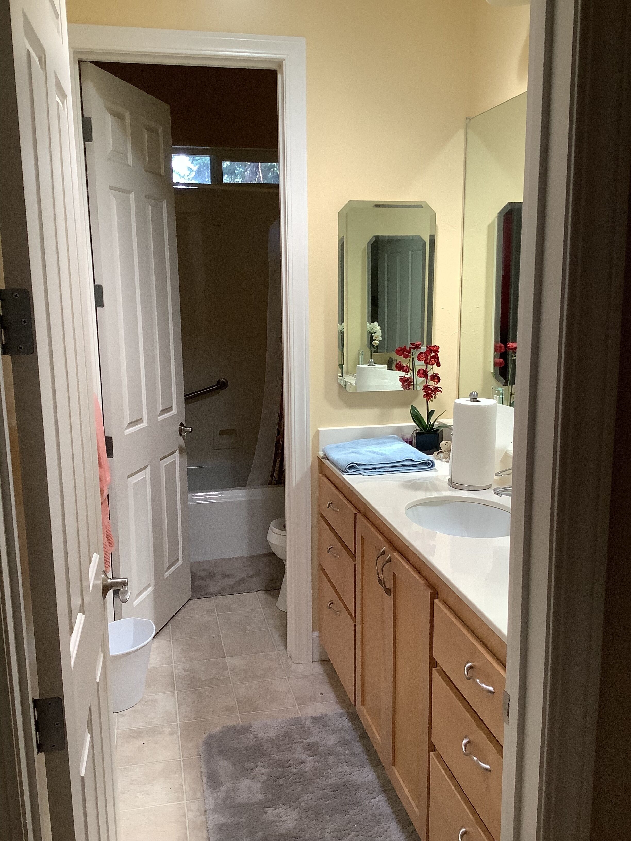 Lake Almanor CC Cabin filtered lake and full mountain view