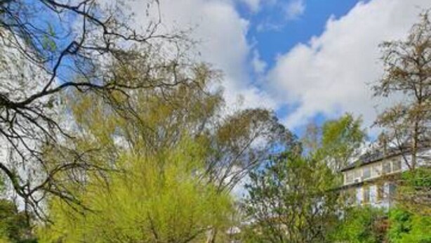A serene riverside pathway with lush greenery and trees, leading to a building with a traditional architectural style. - Wandering Trout (Mole Creek)