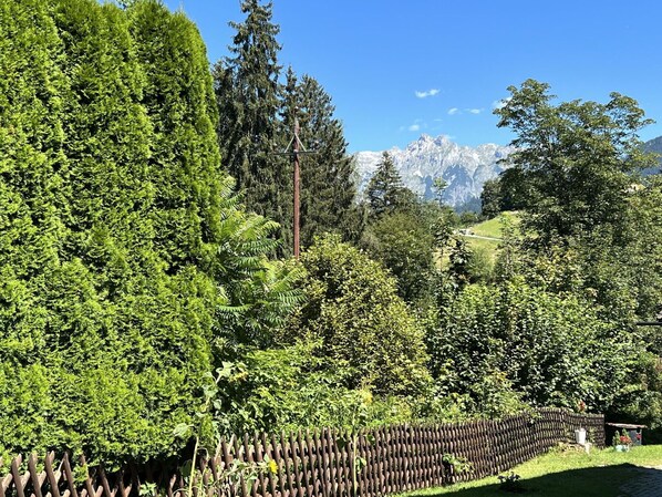 Property grounds - Wonderful private villa for 9 guests with WIFI, TV, terrace, pets allowed and panoramic view (Bischofshofen)