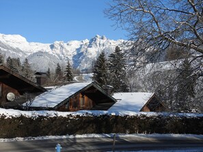 Exterior - Wonderful private villa for 9 guests with WIFI, TV, terrace, pets allowed and panoramic view (Bischofshofen)