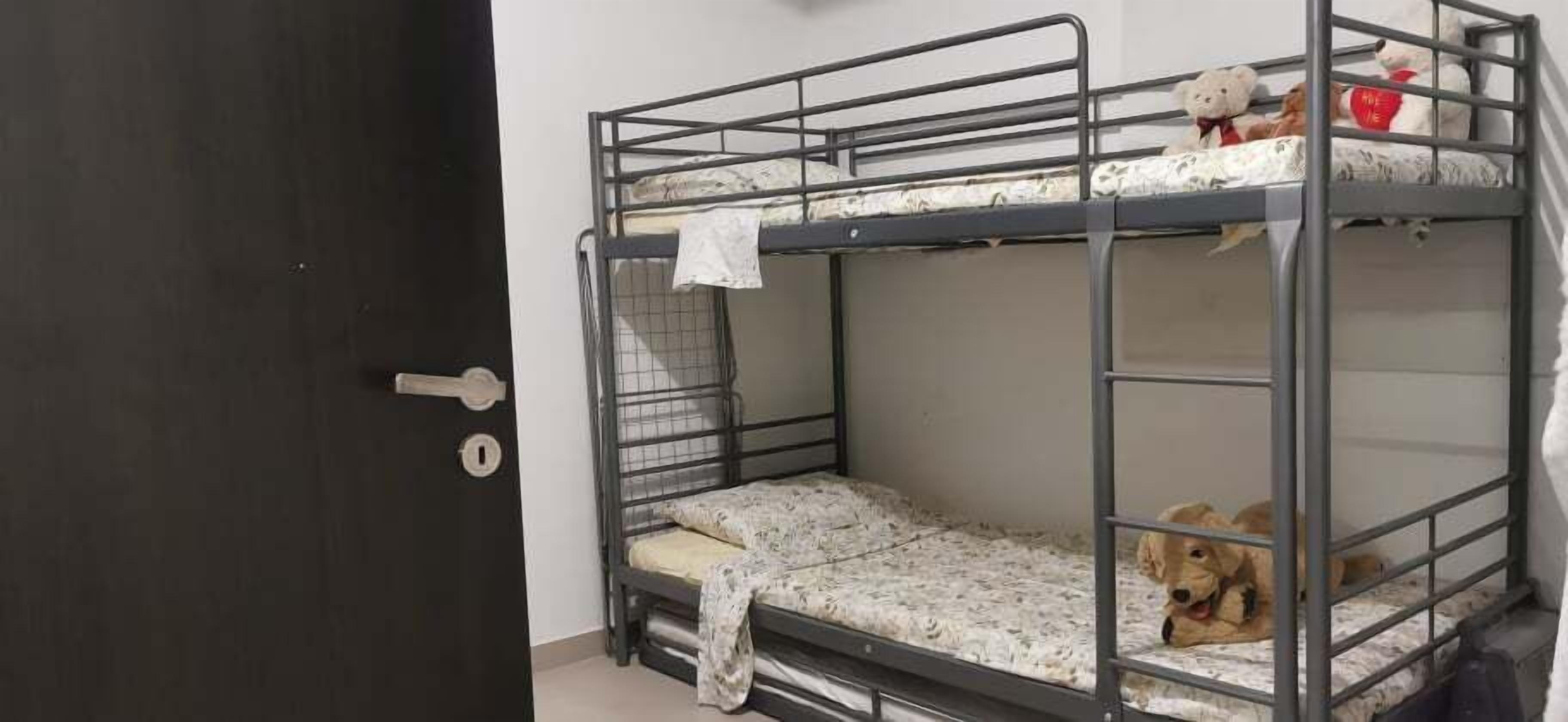 A bunk bed with a dog lying on the lower bunk.