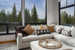TV, fireplace, books