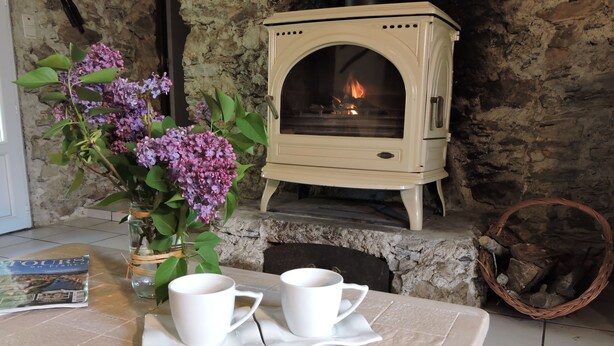 A stone fireplace with a white wood-burning stove, a vase with purple flowers, and a table with two white cups and a plate of cookies. - A miller's house in the quiet countryside for 2 people, pets welcome (Montredon-Labessonnié)