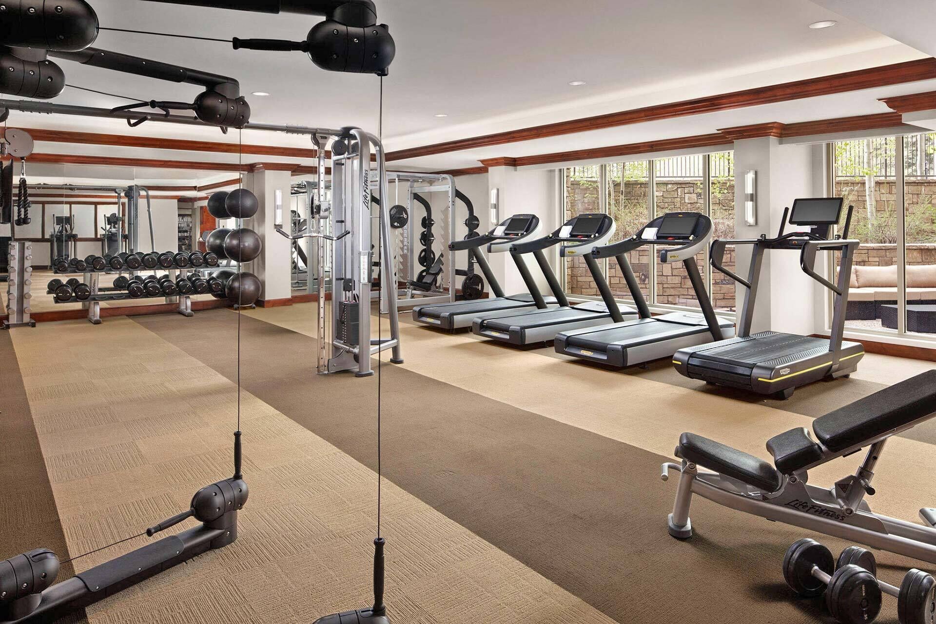A gym with treadmills, dumbbells, and weight machines.