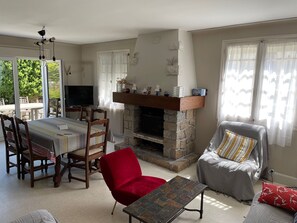 Televisión, chimenea, reproductor de DVD y libros