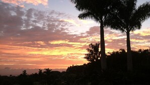 A sunset view with palm trees and a swimming pool.