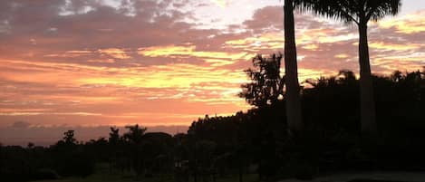A sunset view with palm trees and a swimming pool.