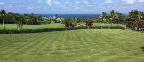 A well-maintained golf course with a clear view of the ocean in the distance.