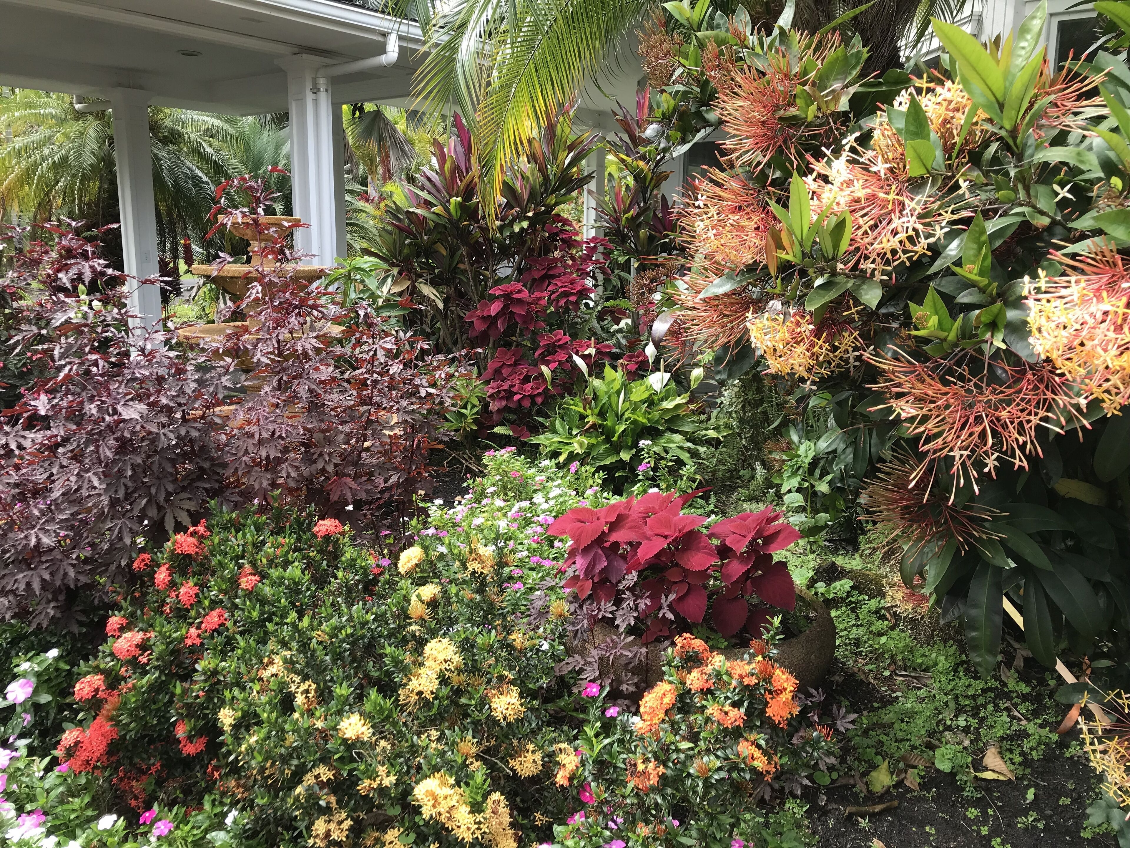 Àrea exterior de l'allotjament