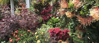 Paradise on park like estate with beautiful ocean and mountain view