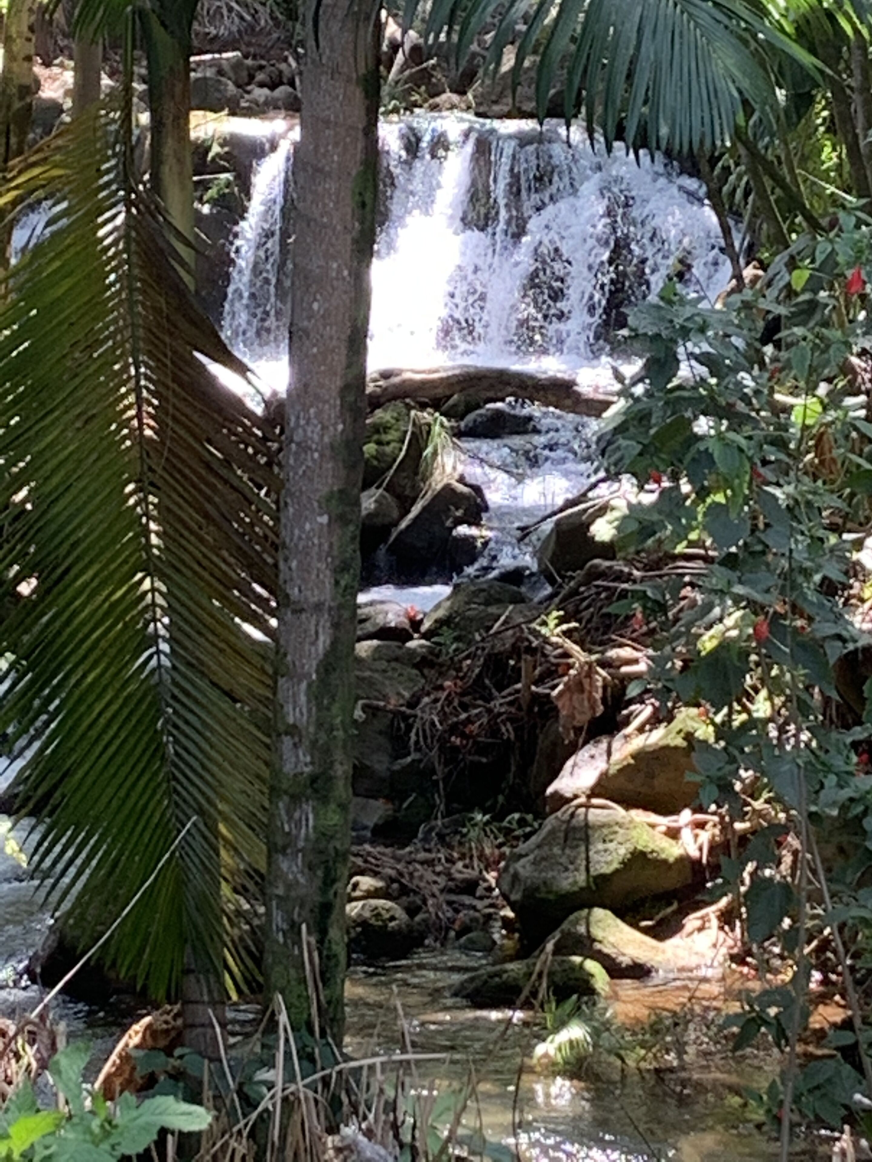 Une cascade entourée de rochers et de verdure.