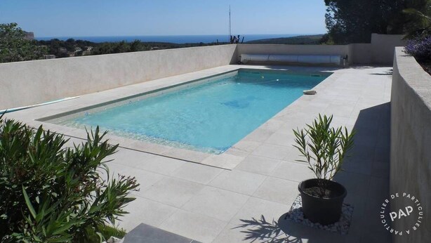 Ein rechteckiger Pool mit klarem, blauem Wasser, umgeben von einer niedrigen Mauer und Kübelpflanzen.