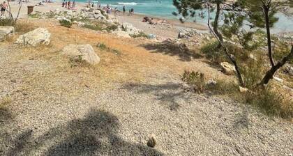 Tropical 2 Bedroom Apartment. Heaven Like Beaches