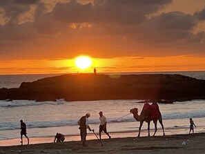 Sun-loungers, beach towels - Charming seaside residence apartment with swimming pool, beach 400m Refurbished (Mohammedia)