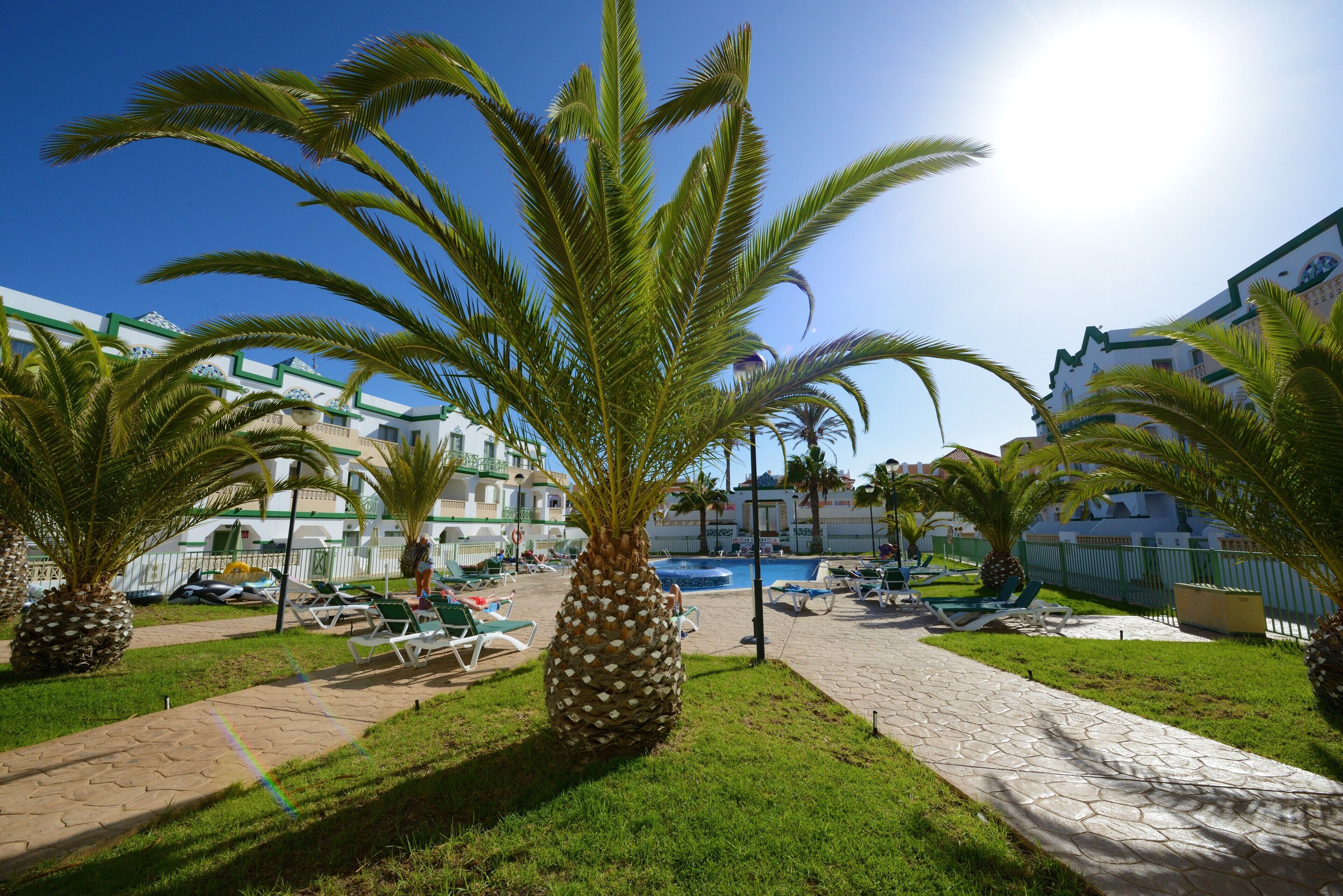 A pool area with lounge chairs and palm trees, surrounded by buildings with green and white exteriors.