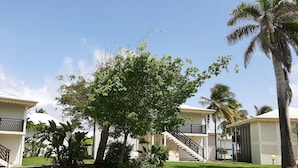 A residential area with a well-maintained lawn, a large tree, and a staircase leading to a building. - Kaz ananas passion (Saint-François)