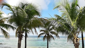 A beach with white plastic chairs and a wooden bench, palm trees, and the ocean. - Kaz ananas passion (Saint-François)