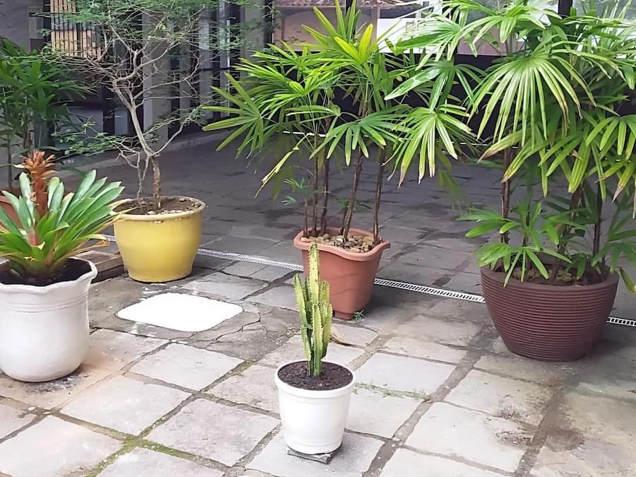 Terrein van de accommodatie