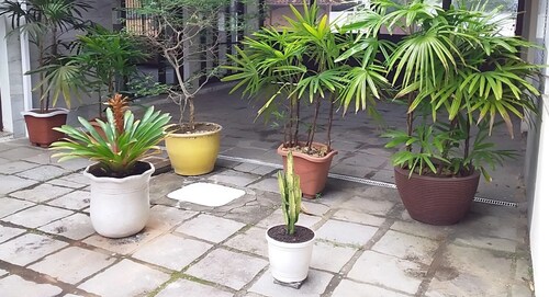 Buzios Geriba Aluguel Economico