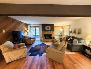 Televisión, chimenea y libros 