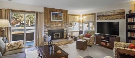 TV, fireplace, books