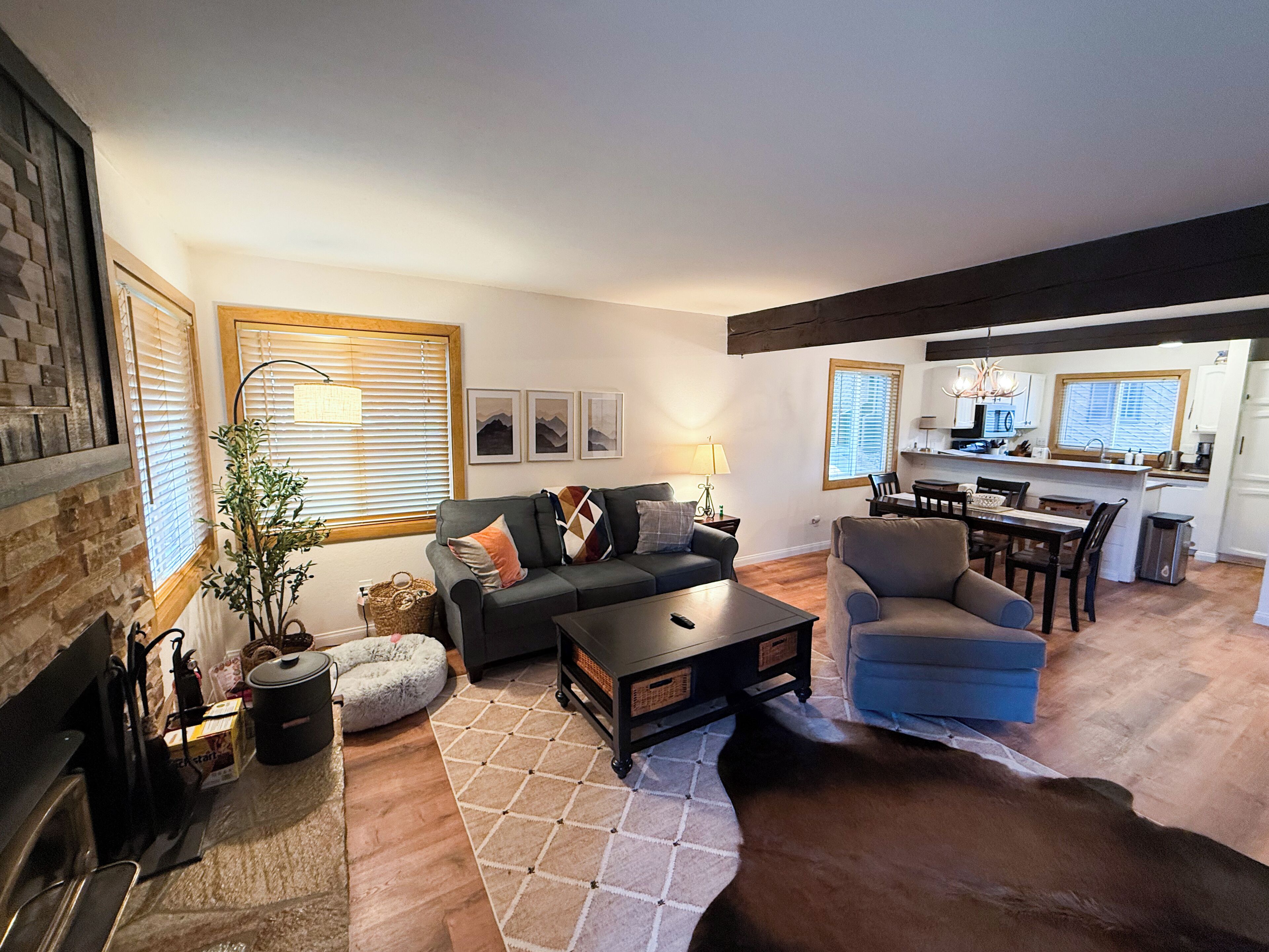 TV, fireplace, books