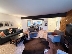 TV, fireplace, books