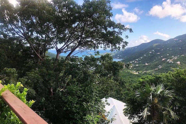 View from the front balcony