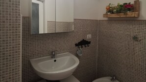Un baño con lavamanos blanco, un bidé, un espejo y una estantería con plantas.