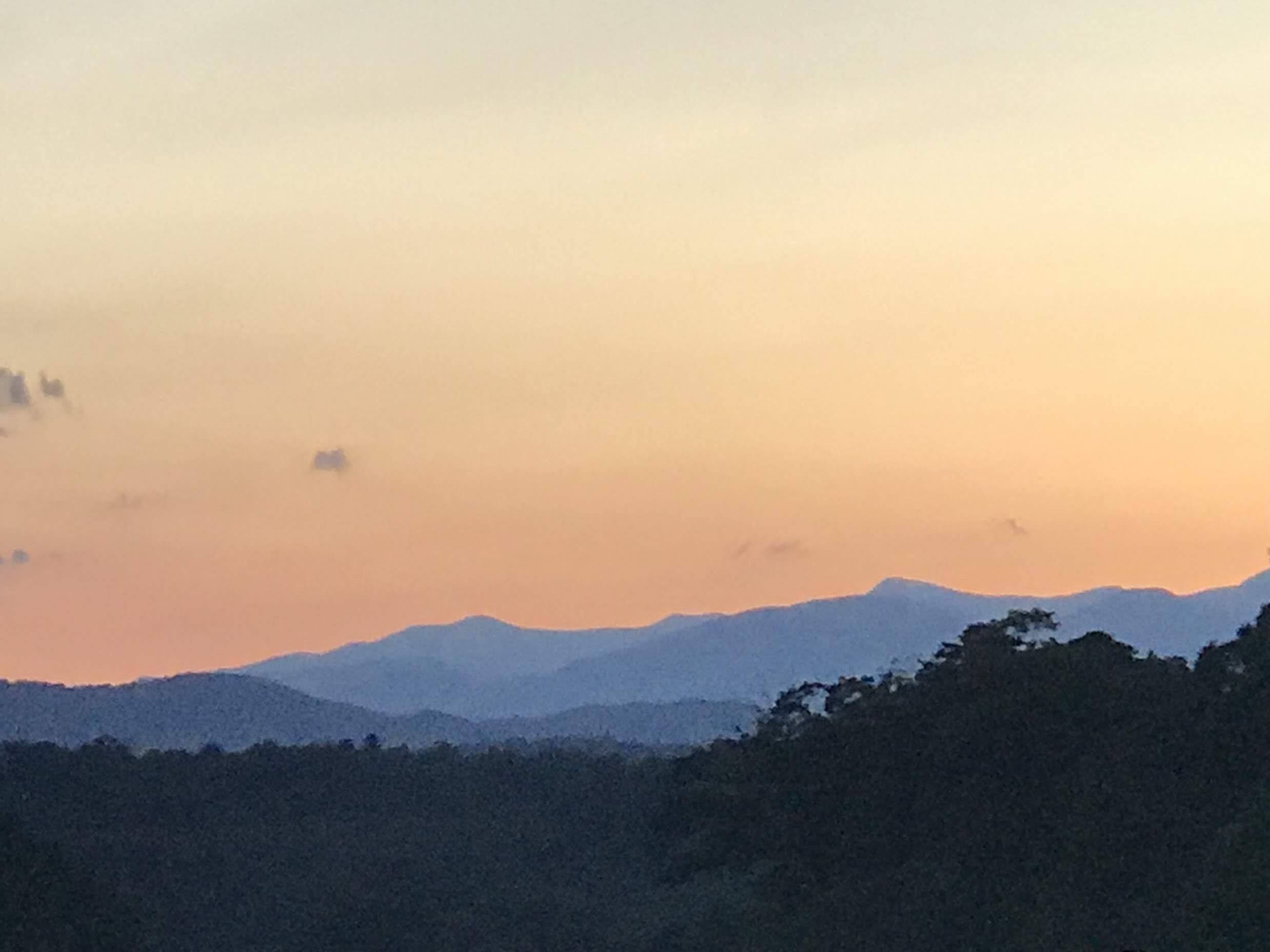 The Nest @ Tall Bear