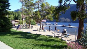 Ein Park am Seeufer mit Picknicktischen, Bänken und einem Steg.