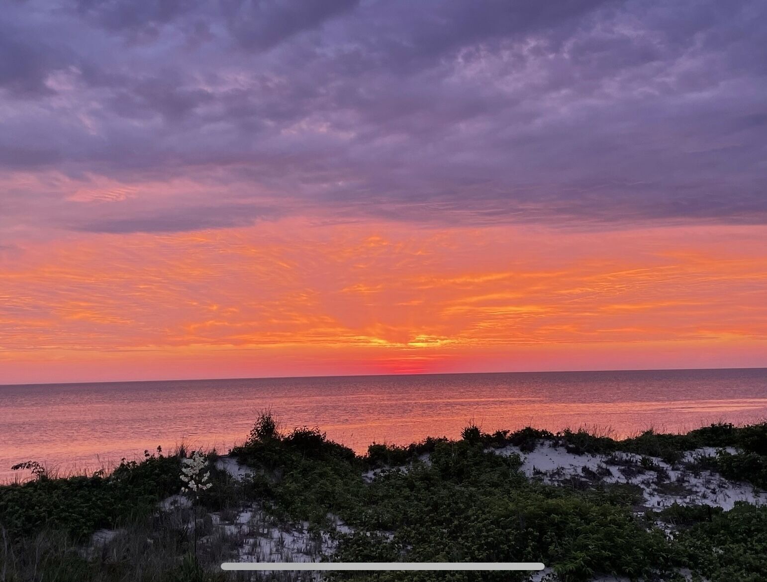 A sunset over a coastal landscape with vegetation in the foreground.
