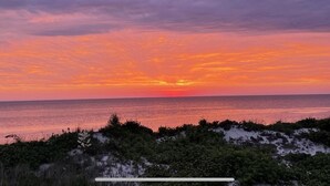 Un coucher de soleil sur un paysage côtier, avec une végétation au premier plan.