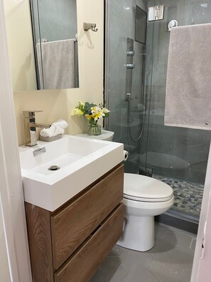 Shower - Tranquil, luxurious private one bedroom, two beds (Toronto)