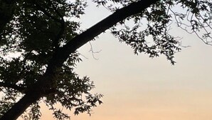 Punainen lato valkoisella katolla vihreällä niityllä, taustalla auringonlasku.