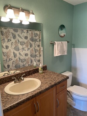 A bathroom with a sink, mirror, and toilet. - Cute, spacious 2 BR 2 Full BA condo minutes from the beaches (Largo)