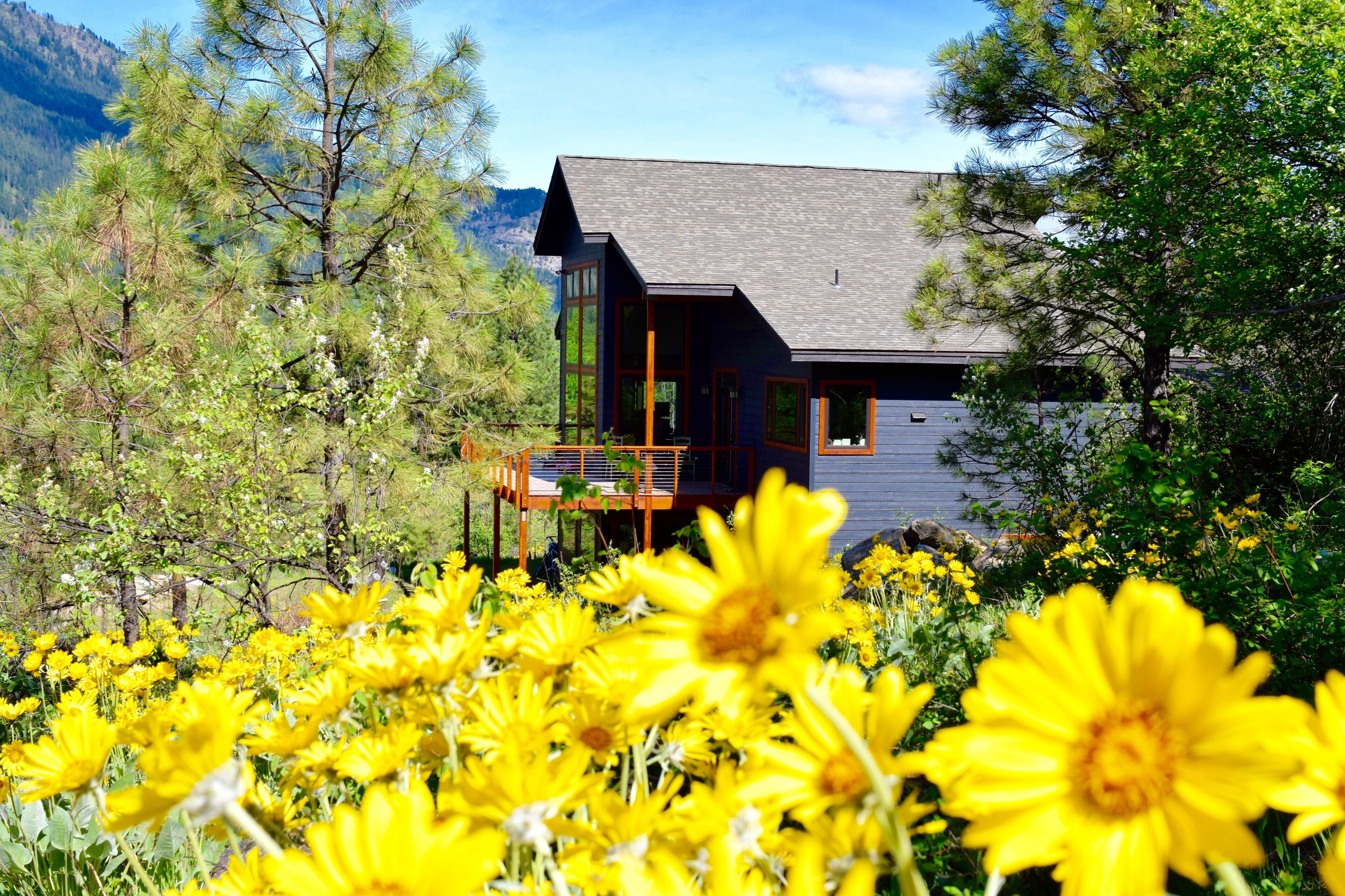 Beautiful mountain home 5 minutes from downtown.