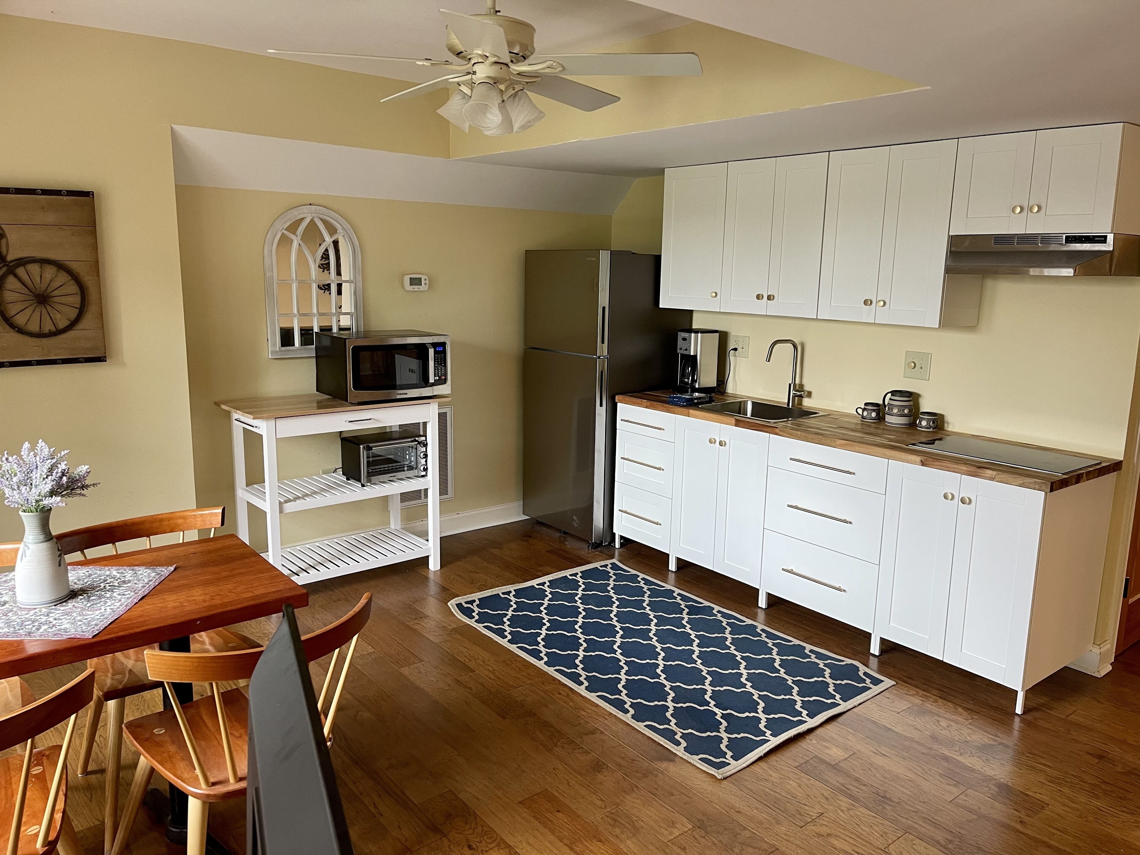 Newly remodeled apartment, private patio with gorgeous mountain views 