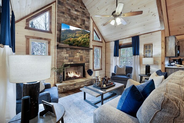 Smart-tv, een open haard, een dvd-speler en een filmbibliotheek