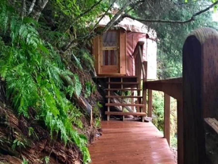 Economy Tent | Cadar katil