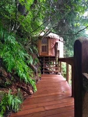 A wooden deck leading to a treehouse with a simple wooden structure and a small window, surrounded by dense green foliage. - Nauti Otter Inn and Yurt Village (Seward)