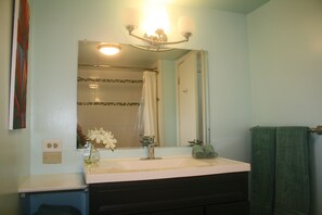 Combined shower/bathtub, hair dryer, towels, soap