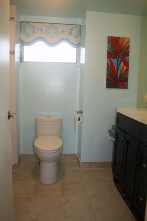Combined shower/bathtub, hair dryer, towels, soap