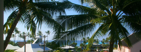 A coastal view with palm trees and a building with a sloped roof.